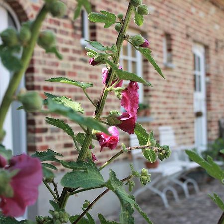 Sint-Lievens-Houtem De Volle Maanヴィラ エクステリア 写真