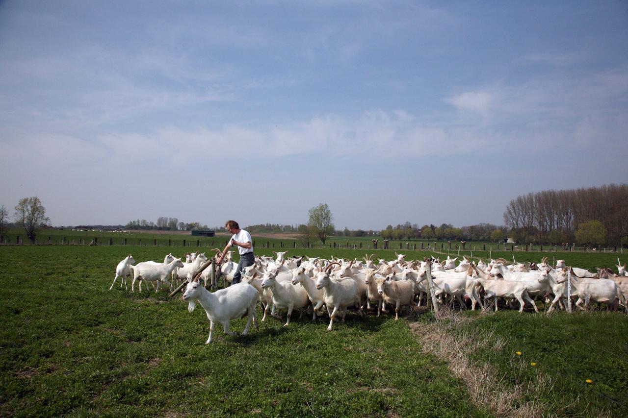 Sint-Lievens-Houtem De Volle Maanヴィラ エクステリア 写真